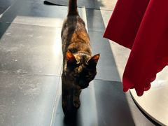 -EATALIA意塔利意式餐厅(鼓楼店)