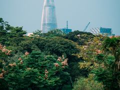 -四海公园(南山区)