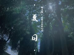 -武陵山森林公园
