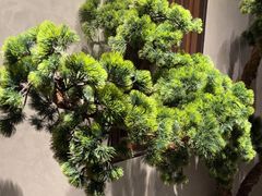 -百富源·海鲜辽菜(张士店)