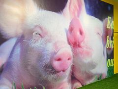 -chi K11艺术空间展览厅