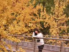 -重庆市江北嘴中央商务区中央公园