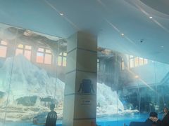 -帝企鹅自助餐厅•儿童岛•真企鹅(长隆企鹅酒店)