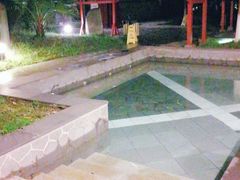 -中铁花水湾温泉酒店(大邑店)