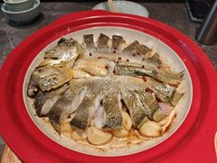 -1937青岛老味道·海肠捞饭·青岛菜(大鲍岛栈桥店)