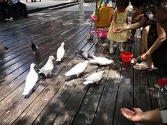 -合肥滨湖国家森林公园