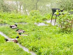 -木守西溪溪隐餐厅