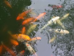 -荆川公园