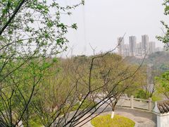 -重庆彩云湖湿地公园