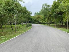 -蜀冈西峰生态公园