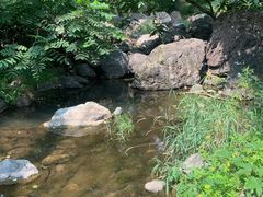 -妙峰山风景名胜区