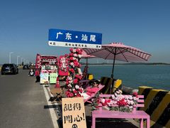 -汕尾风车岛