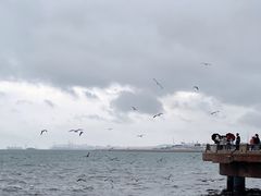 -幸福门