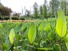 -尚贤楼 金匮家宴(金匮公园店)