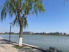 -天津东丽湖风景区