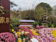 -南山植物园