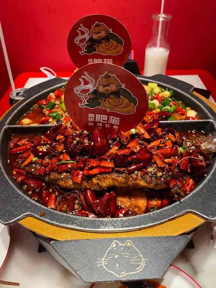 南锣肥猫·麻辣烤鱼(合生汇店)-"盲选的一家店～总体感觉很不错～第一