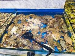 -川骄海鲜自助(河东店)