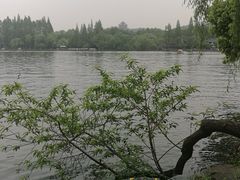 -浙江西子宾馆·瑶园咖啡厅