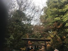 -野宫神社