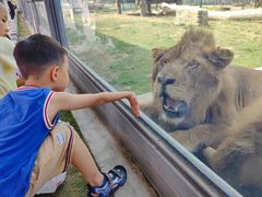 -西霞口神雕山野生动物世界