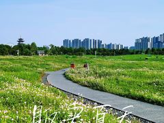 -洋湖国家湿地公园