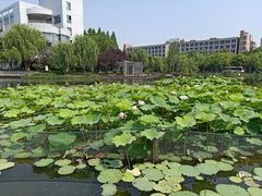 -杭州师范大学(下沙校区)