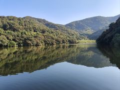 -黄埔油麻山森林公园
