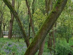 -西湖风景区-江洋畈生态公园