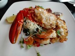 -Fish Hopper