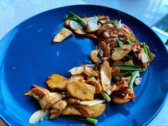 野芫荽炒牛肝菌-半山腰·云南菜(侨福芳草地店)