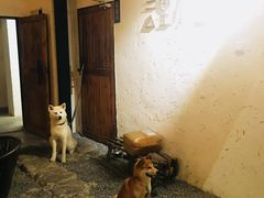 -云里小坐·小院里·团建·宴请·下午茶(三圣乡店)