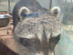 -武汉紫薇都市田园