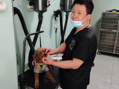-中农大我爱我爱动物医院·核磁CT·猫病·24小时夜诊中心(石佛营店)