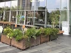 -SAANCI山池咖啡(海上世界文化艺术中心店)