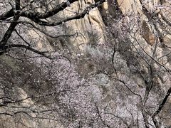 -北京凤凰岭