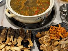 -蘑统田下·野生菌火锅