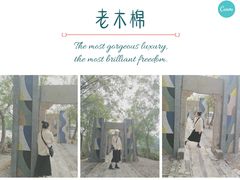 -老木棉·匠园