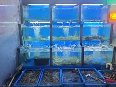 -老东镇啤酒屋海鲜加工·蒸汽海鲜·海鲜烧烤(台东店)