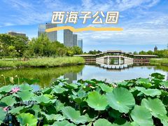 -西海子公园