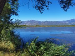 -野鸭湖国家湿地公园