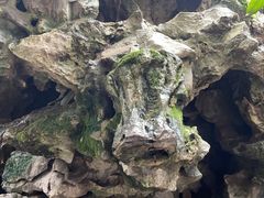 -东山雕花楼