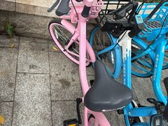 -海心沙亚运公园