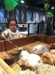 -酷嗒动物文化乐园(cutezoo西溪乐天城店)