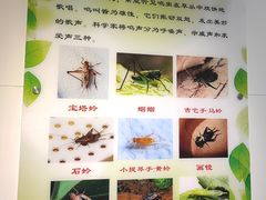 -上海昆虫博物馆