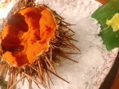 -千代武日本料理(哈西店)