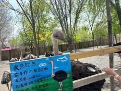 -水上乐园·欢乐世界