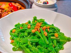 -秀儿四九城·新京菜(亚运村鸟巢店)