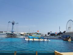 -秦皇岛乐岛海洋王国