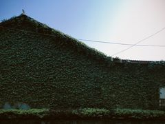 -青龙山国家森林公园